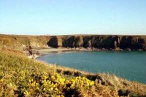 Caerfai Beach